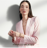ʦ鱦ƷMarco BicegoЯͷ鱦ճ