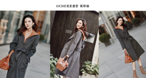 ר⣺GCSʱƹ|