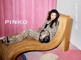 PINKOȻΪƷֿ  η